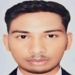 Md Salman Farazi